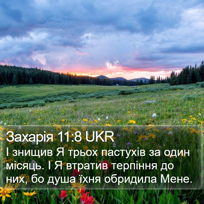 Захарія 11:8 UKR Bible Study