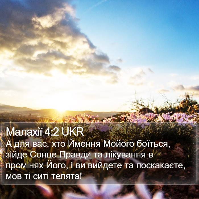 Малахії 4:2 UKR Bible Study