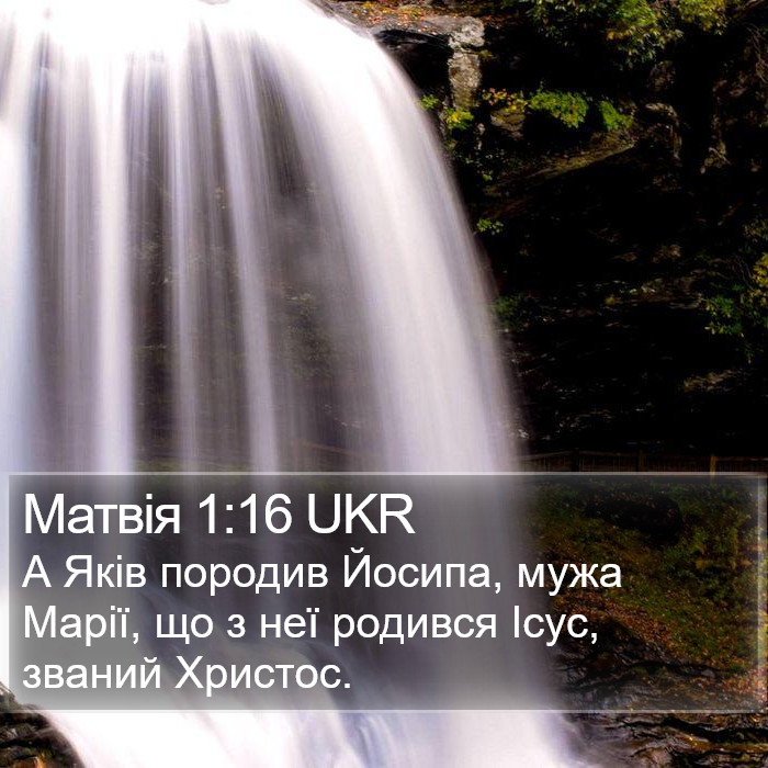 Матвія 1:16 UKR Bible Study