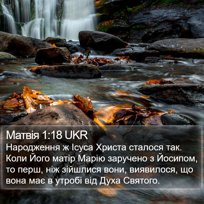 Матвія 1:18 UKR Bible Study