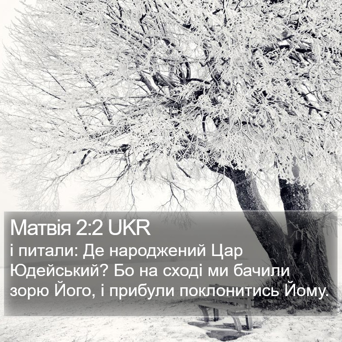 Матвія 2:2 UKR Bible Study