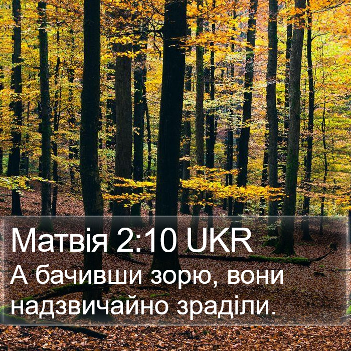 Матвія 2:10 UKR Bible Study