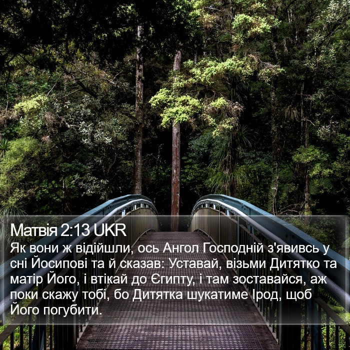 Матвія 2:13 UKR Bible Study