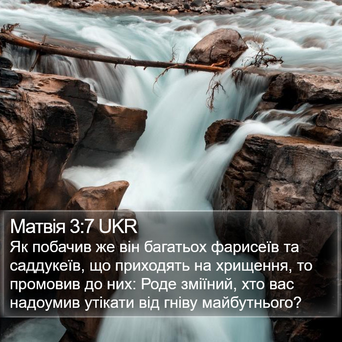 Матвія 3:7 UKR Bible Study