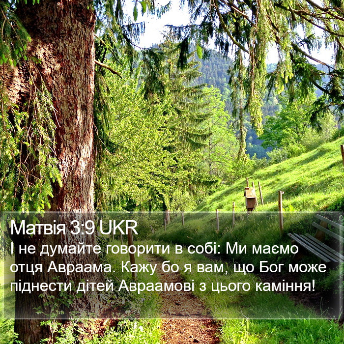 Матвія 3:9 UKR Bible Study