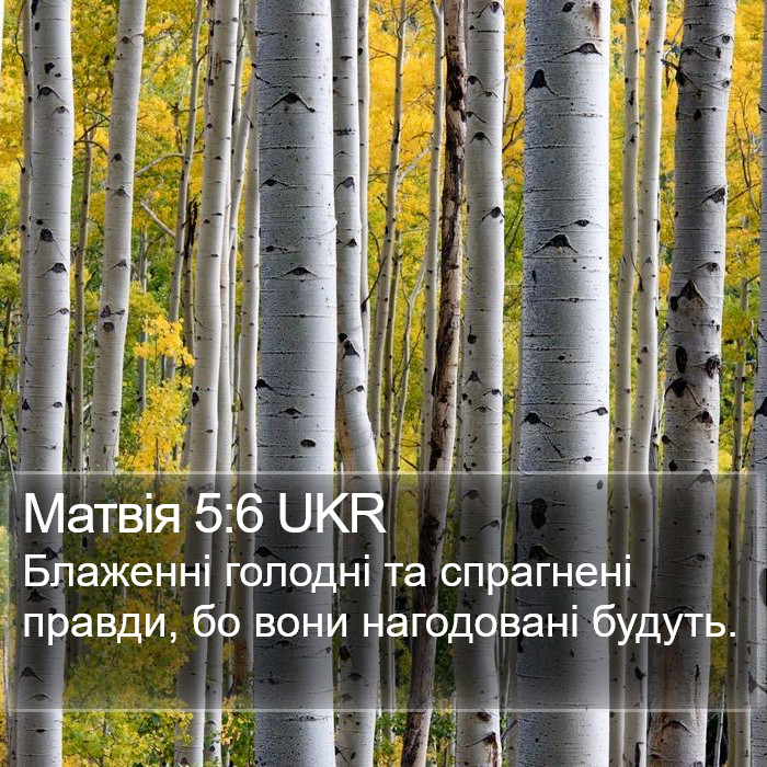 Матвія 5:6 UKR Bible Study