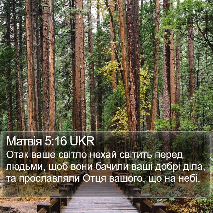 Матвія 5:16 UKR Bible Study