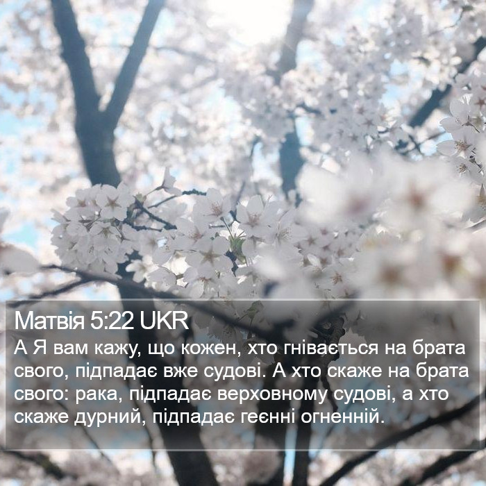 Матвія 5:22 UKR Bible Study