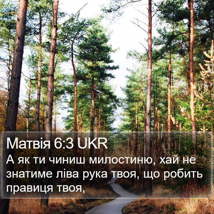 Матвія 6:3 UKR Bible Study