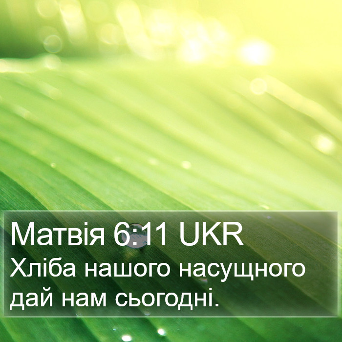 Матвія 6:11 UKR Bible Study