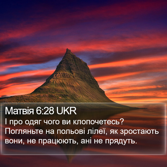 Матвія 6:28 UKR Bible Study