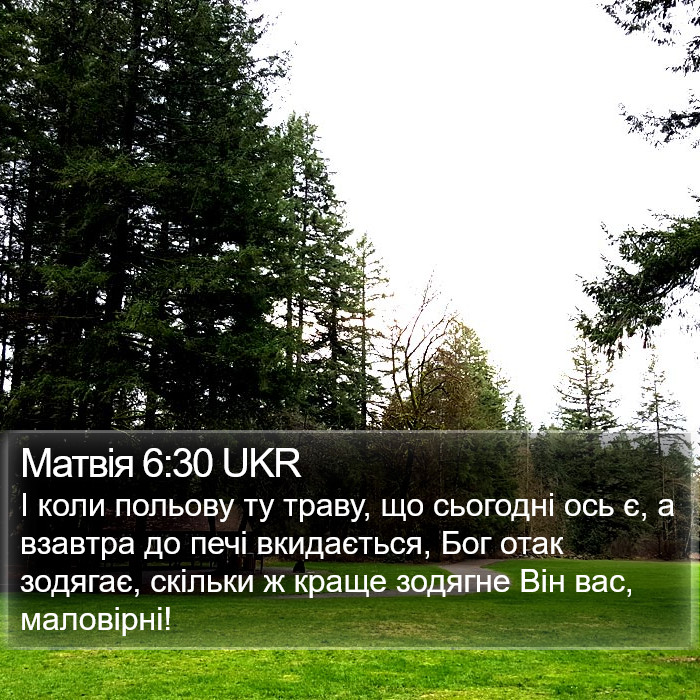 Матвія 6:30 UKR Bible Study