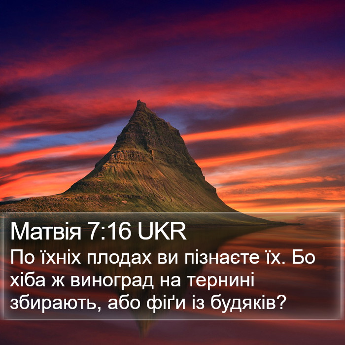 Матвія 7:16 UKR Bible Study