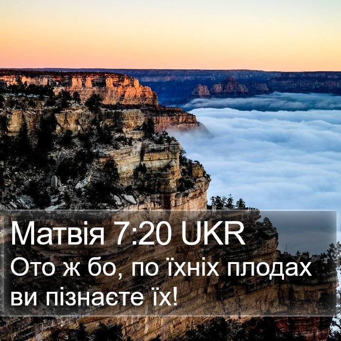 Матвія 7:20 UKR Bible Study