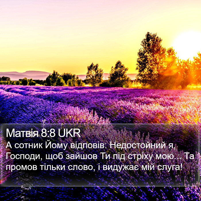 Матвія 8:8 UKR Bible Study