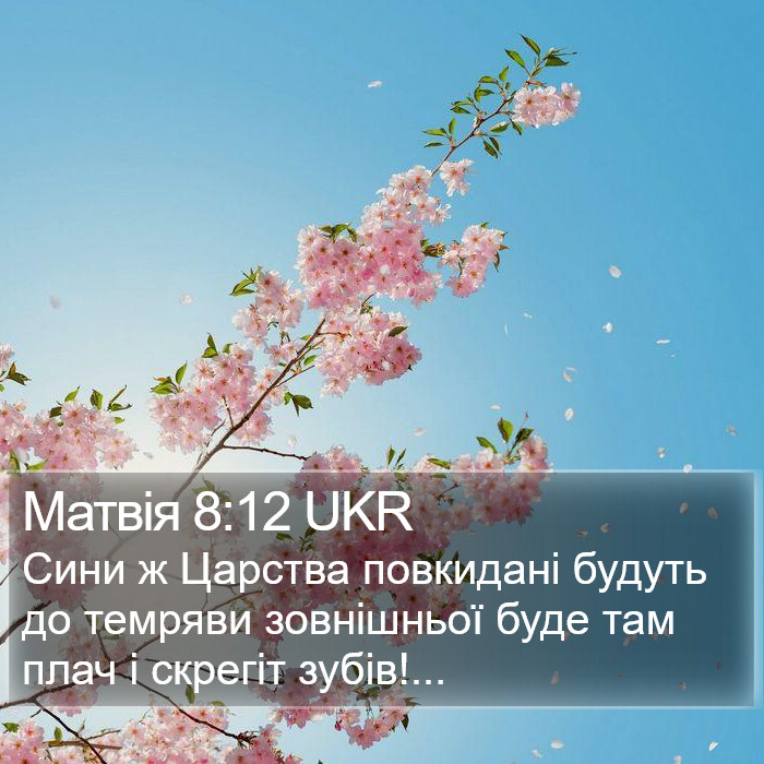 Матвія 8:12 UKR Bible Study