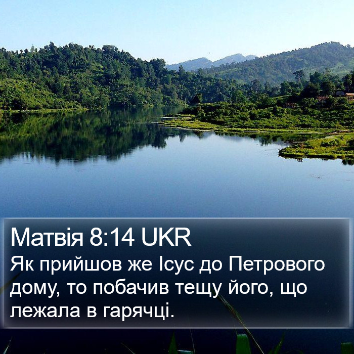 Матвія 8:14 UKR Bible Study