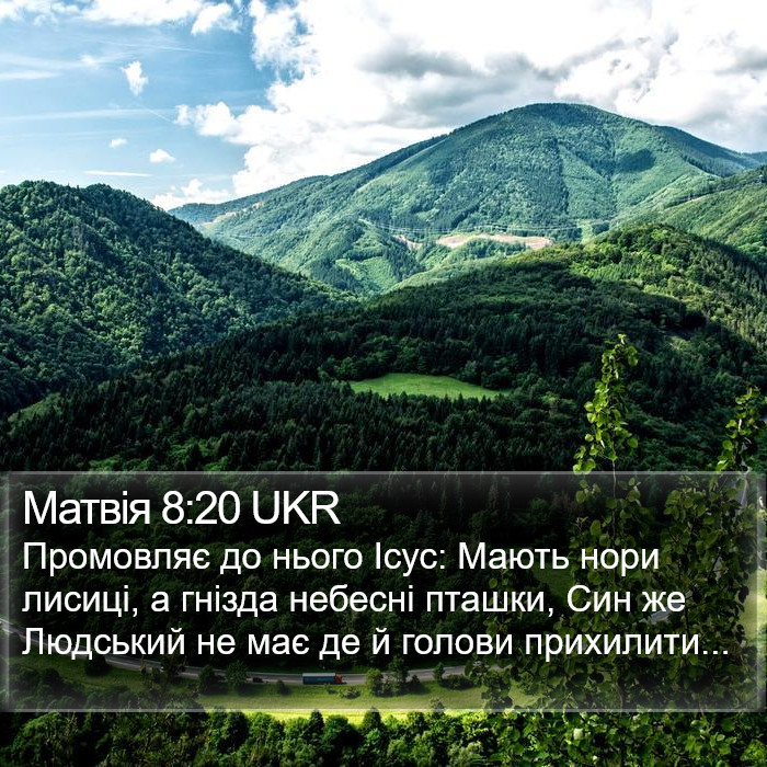 Матвія 8:20 UKR Bible Study