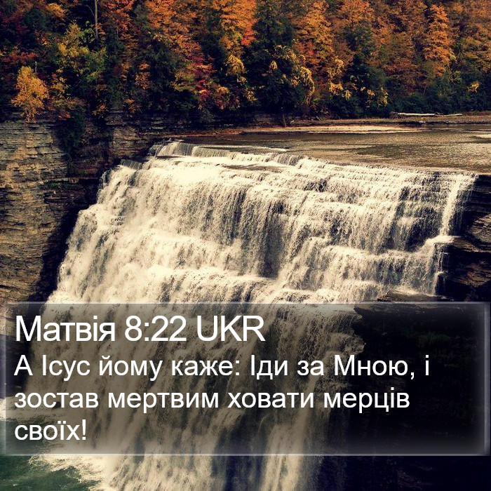 Матвія 8:22 UKR Bible Study