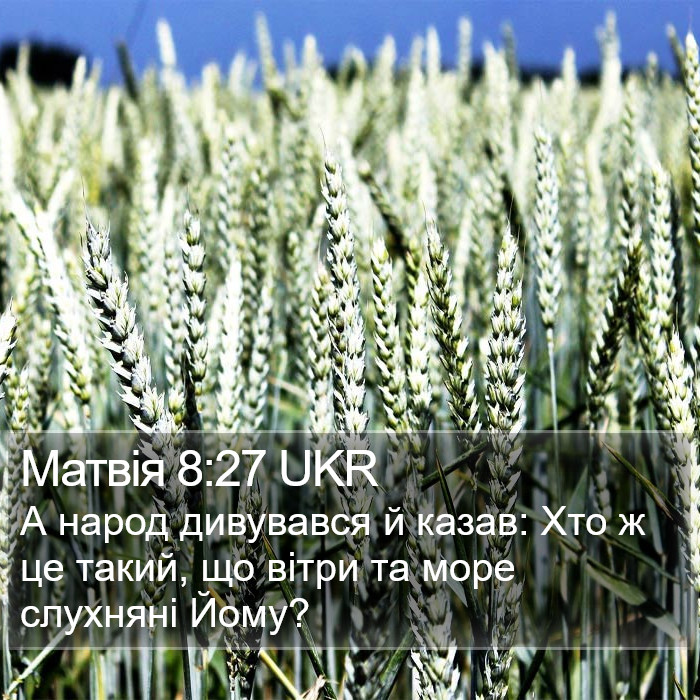 Матвія 8:27 UKR Bible Study