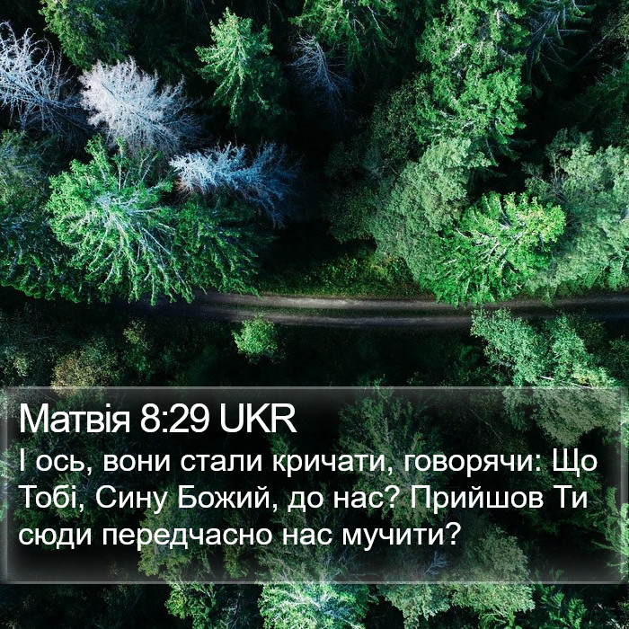 Матвія 8:29 UKR Bible Study