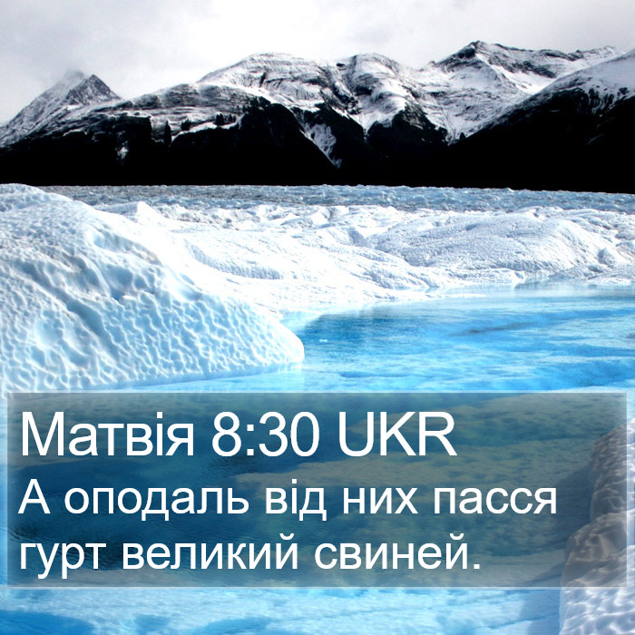 Матвія 8:30 UKR Bible Study