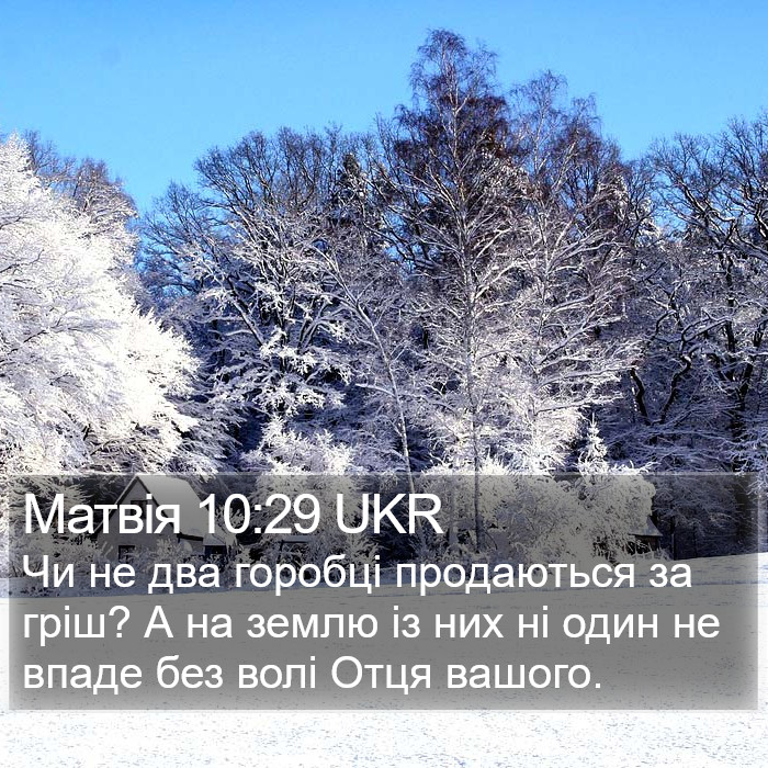 Матвія 10:29 UKR Bible Study