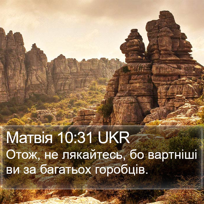 Матвія 10:31 UKR Bible Study