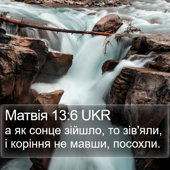 Матвія 13:6 UKR Bible Study