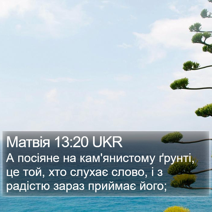 Матвія 13:20 UKR Bible Study