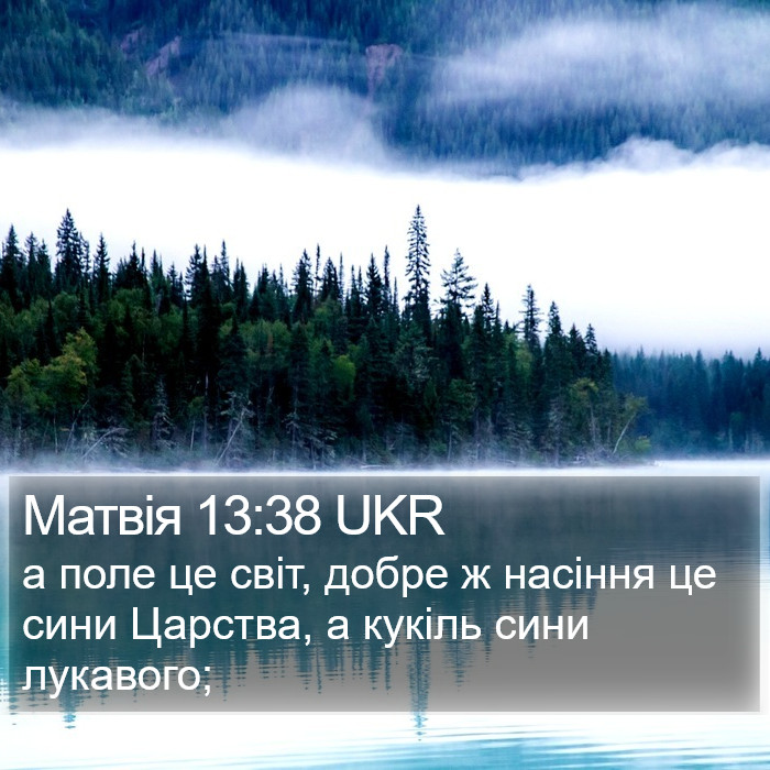 Матвія 13:38 UKR Bible Study