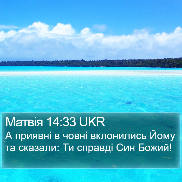 Матвія 14:33 UKR Bible Study
