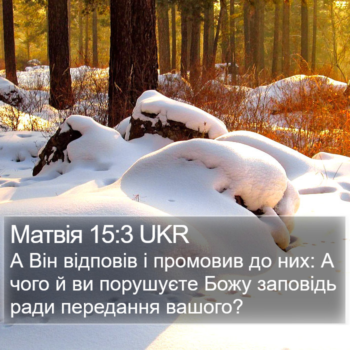Матвія 15:3 UKR Bible Study