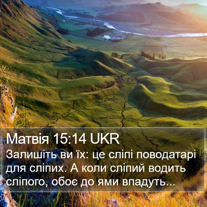 Матвія 15:14 UKR Bible Study