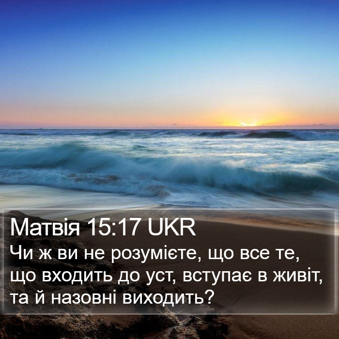 Матвія 15:17 UKR Bible Study