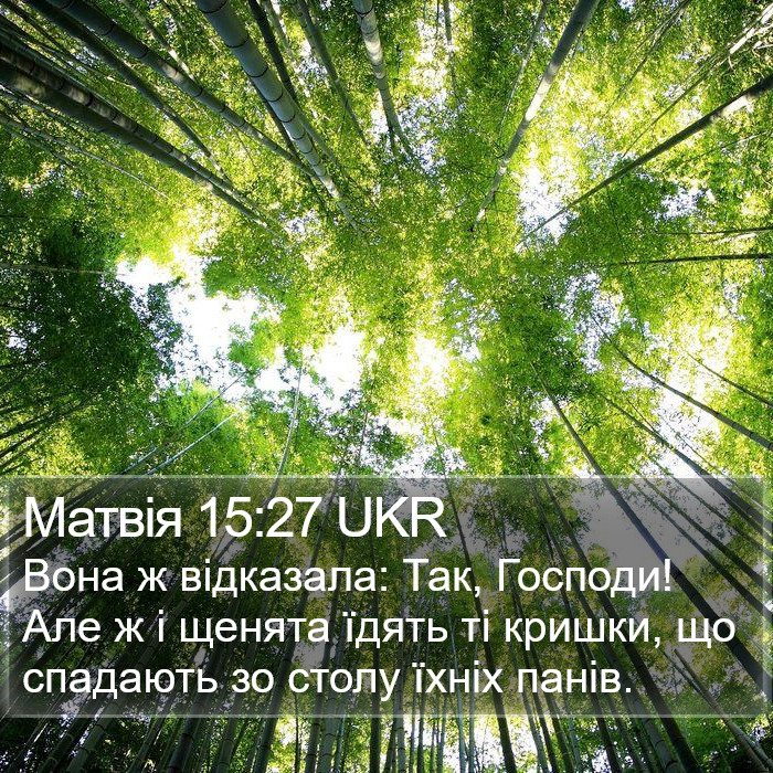 Матвія 15:27 UKR Bible Study