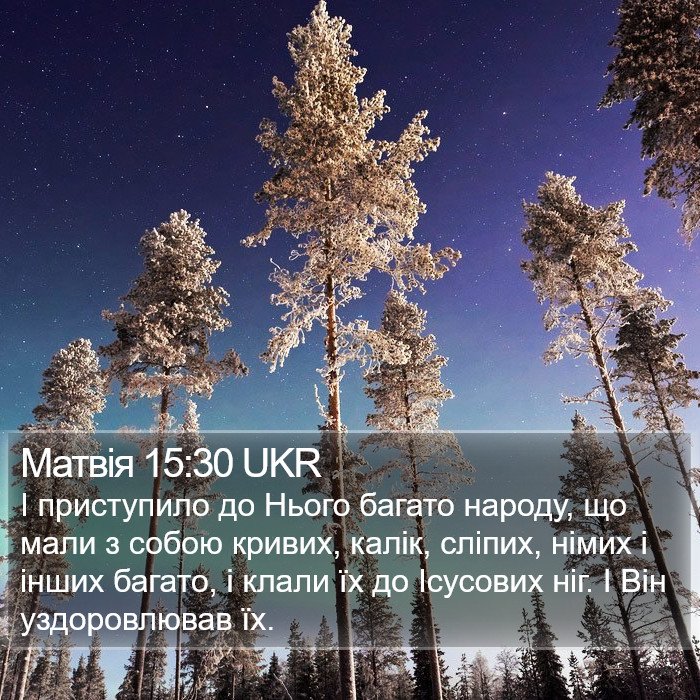 Матвія 15:30 UKR Bible Study