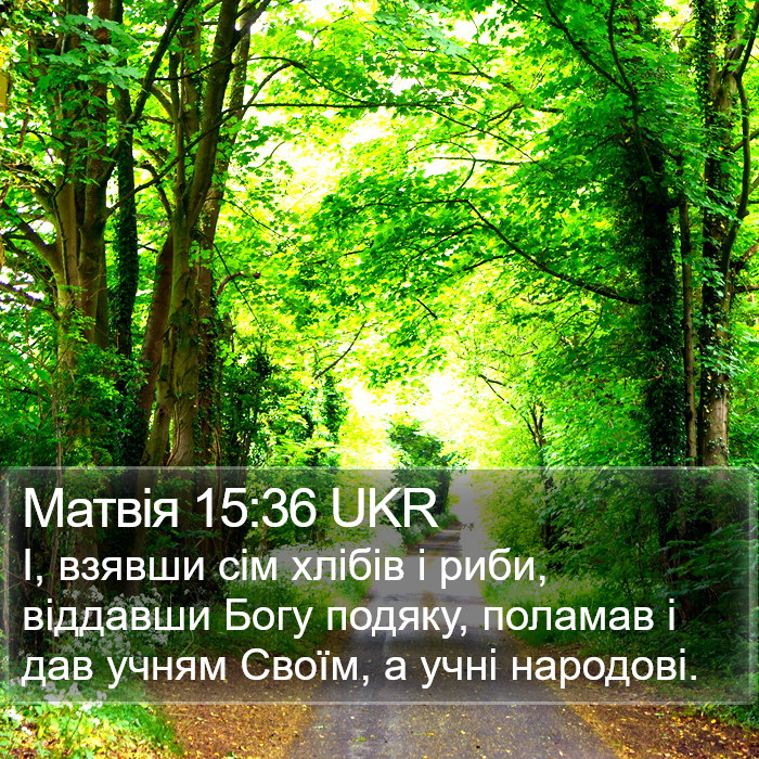 Матвія 15:36 UKR Bible Study