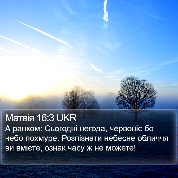 Матвія 16:3 UKR Bible Study