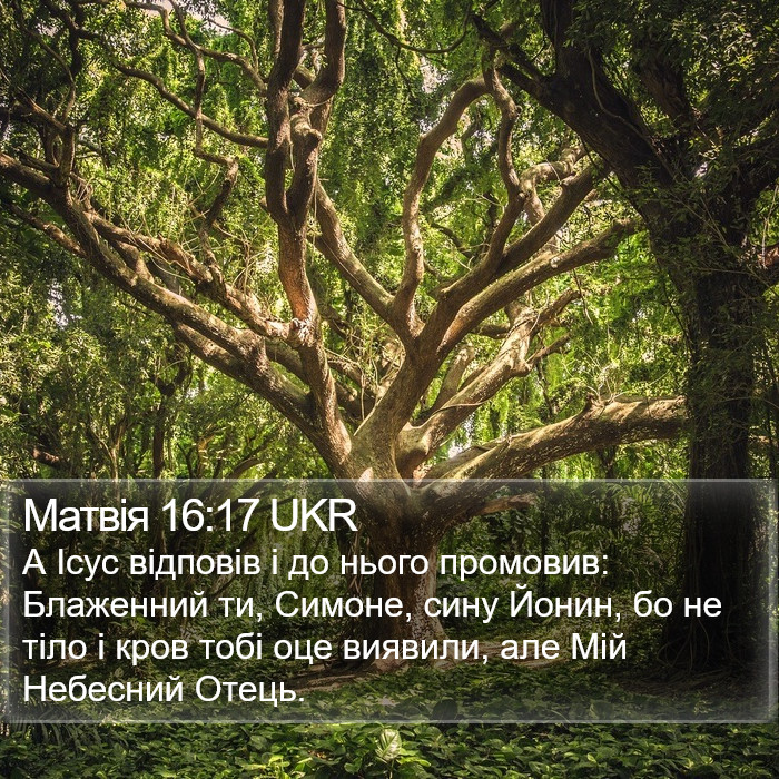 Матвія 16:17 UKR Bible Study
