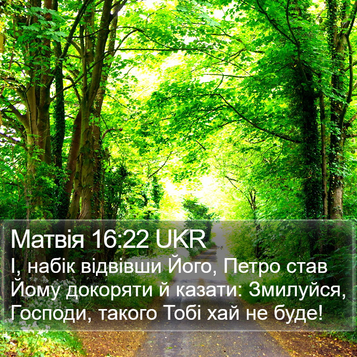 Матвія 16:22 UKR Bible Study