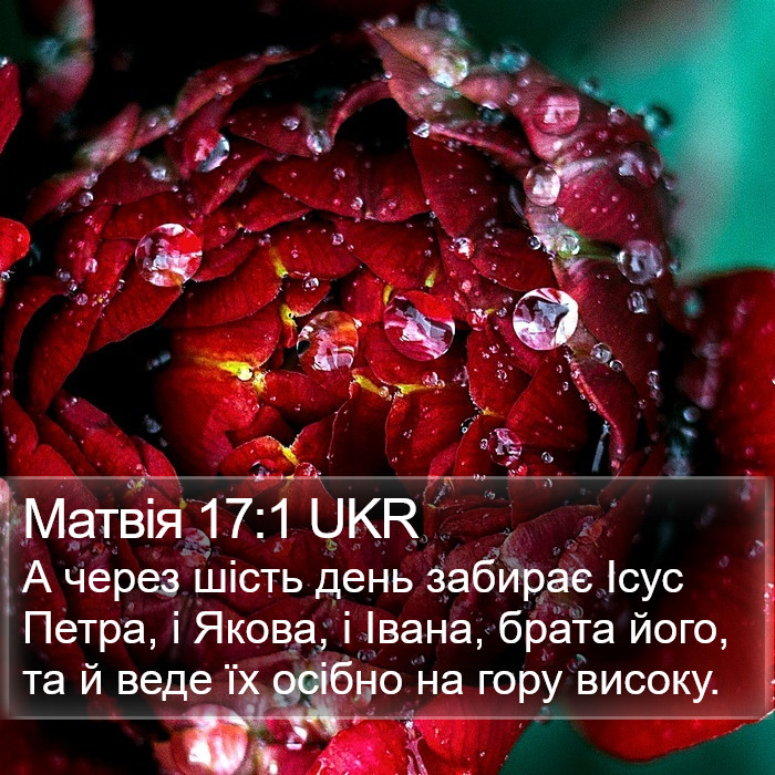 Матвія 17:1 UKR Bible Study