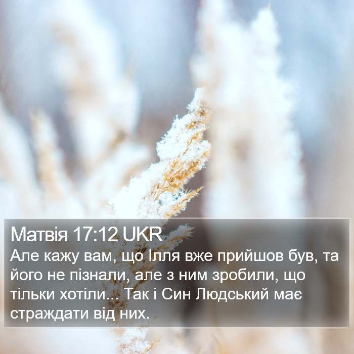 Матвія 17:12 UKR Bible Study