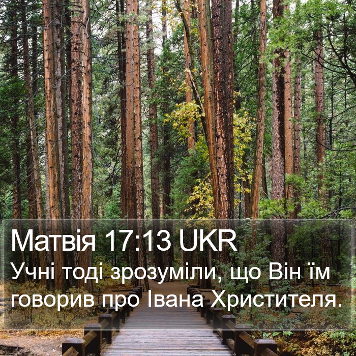 Матвія 17:13 UKR Bible Study