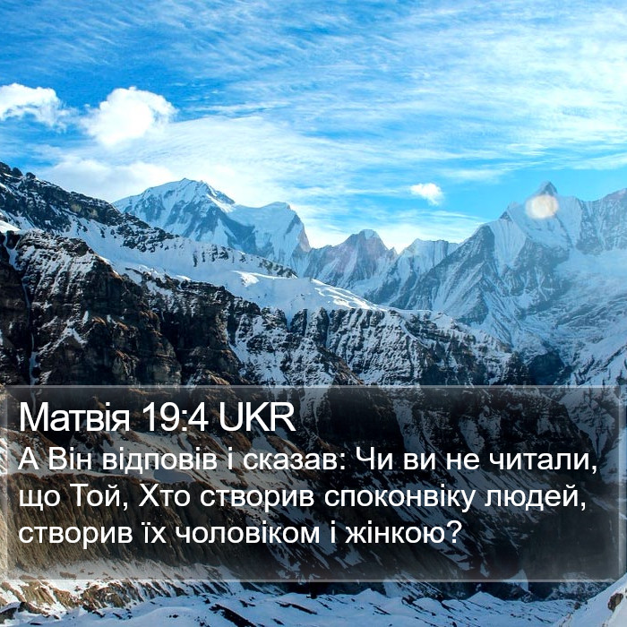 Матвія 19:4 UKR Bible Study