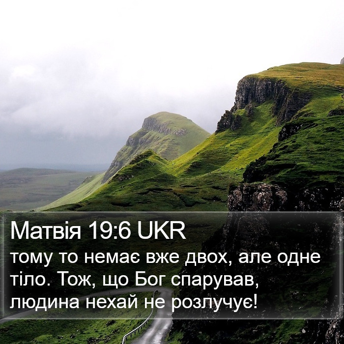 Матвія 19:6 UKR Bible Study