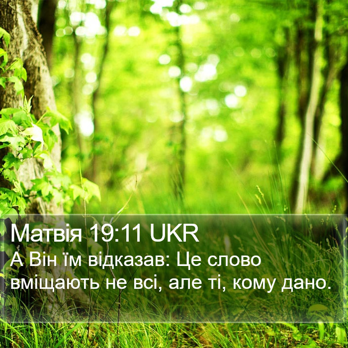 Матвія 19:11 UKR Bible Study