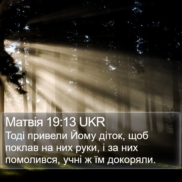 Матвія 19:13 UKR Bible Study