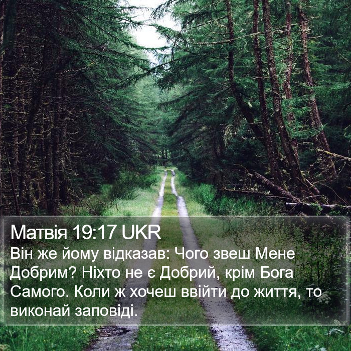 Матвія 19:17 UKR Bible Study