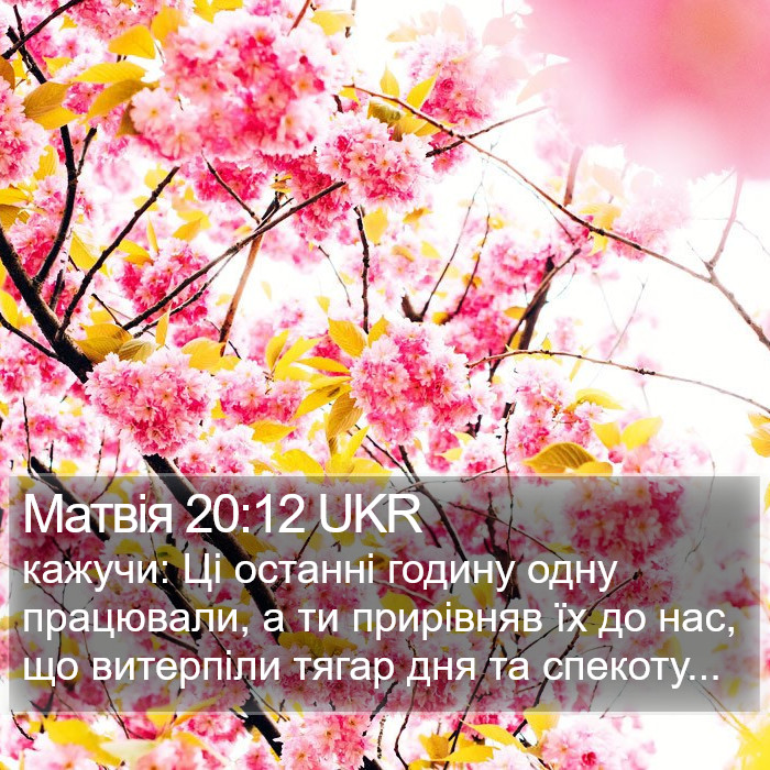 Матвія 20:12 UKR Bible Study